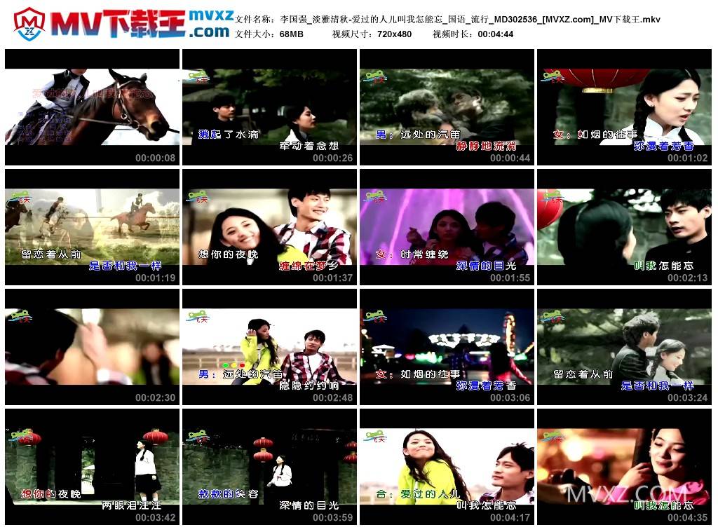 李国强_淡雅清秋-爱过的人儿叫我怎能忘_国语_流行_MD302536